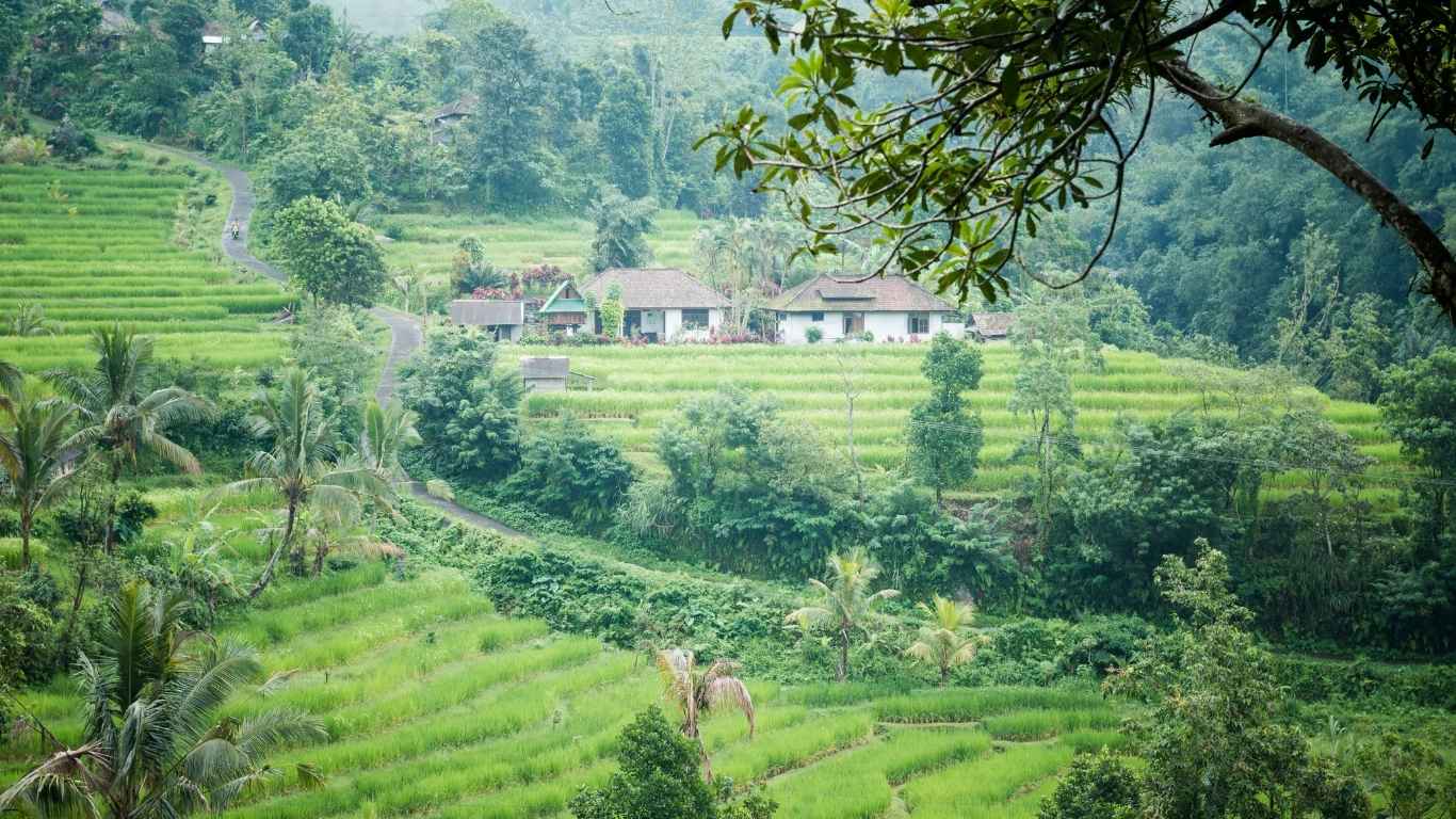 Borobudur Village Tour, Exploring by Cycling and VW Local Routes