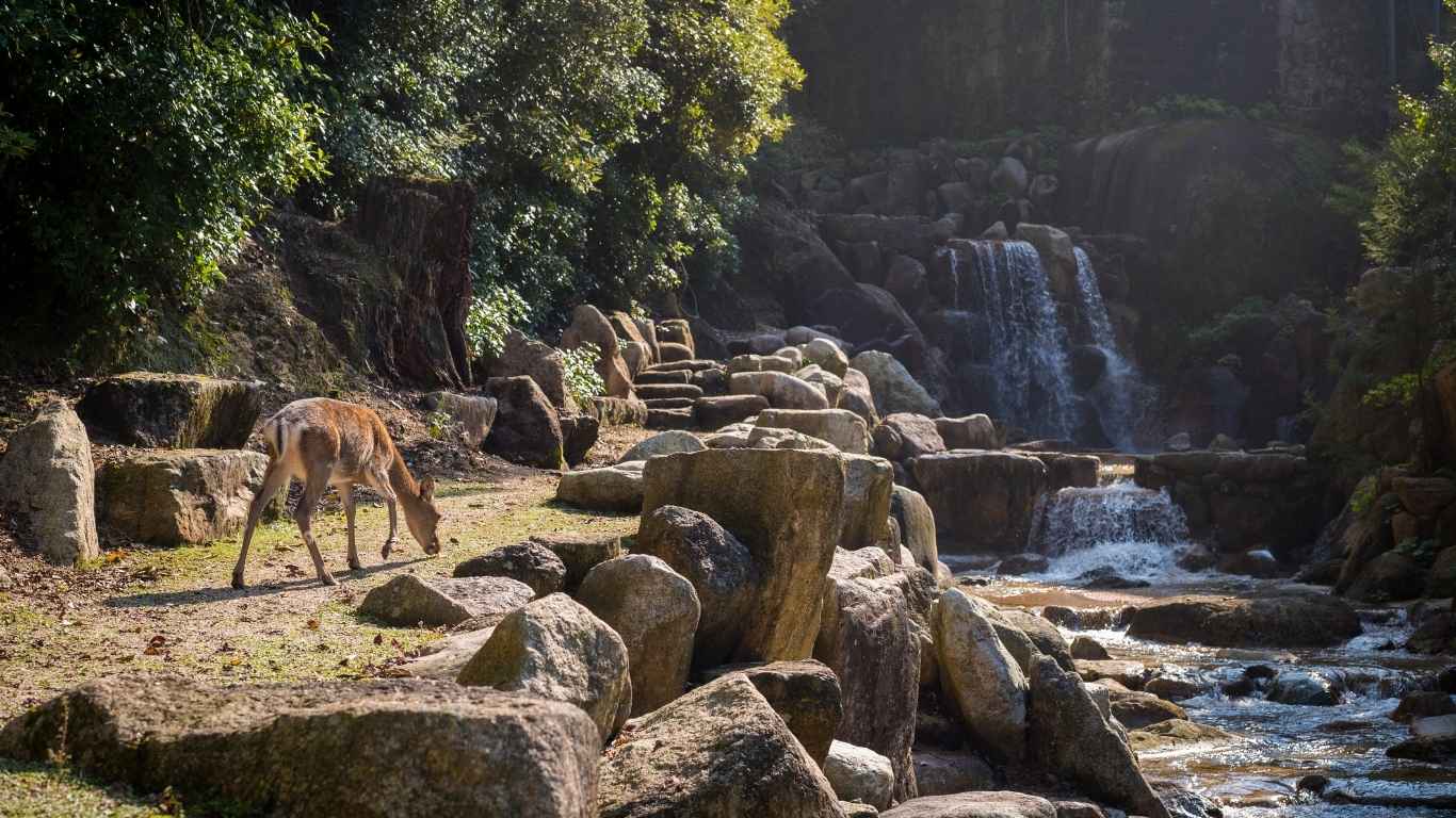East Java Highlights, a Complete List of Must-Visit Spots