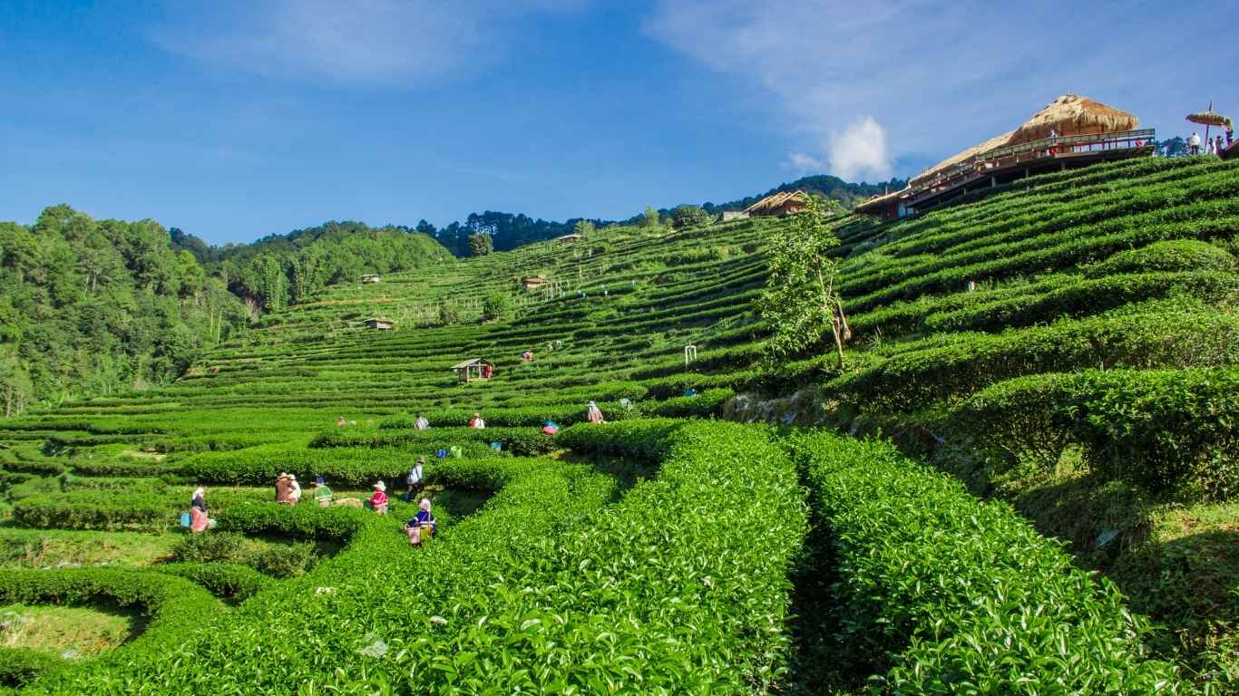 lembang bandung