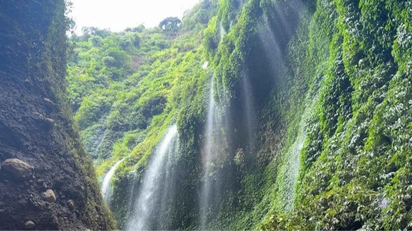 Madakaripura Waterfall Entrance
