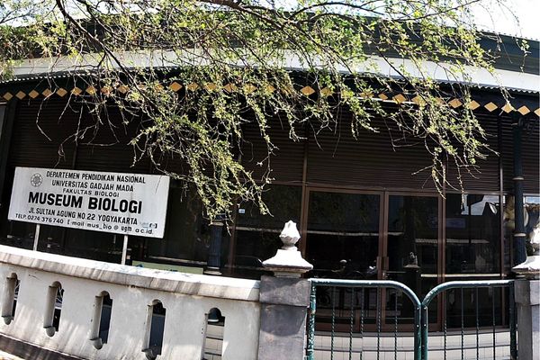 Biologi UGM Museum 