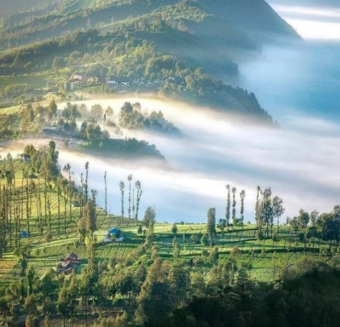 Cemoro Lawang