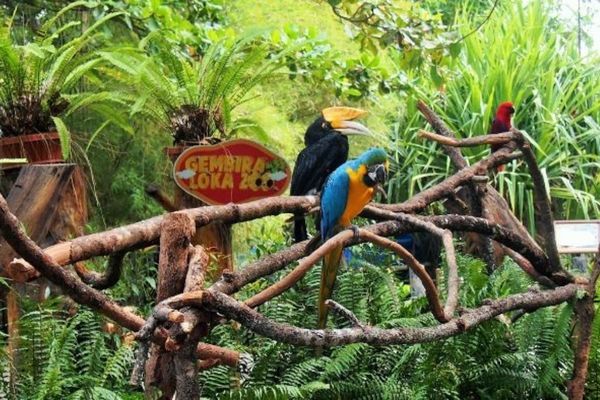 Gembira Loka Zoo