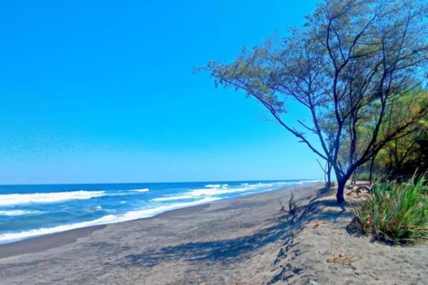 Goa Cemara Beach