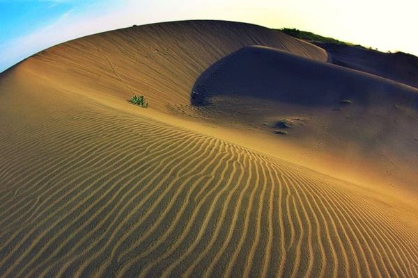 Parangkusumo Sand Dunes